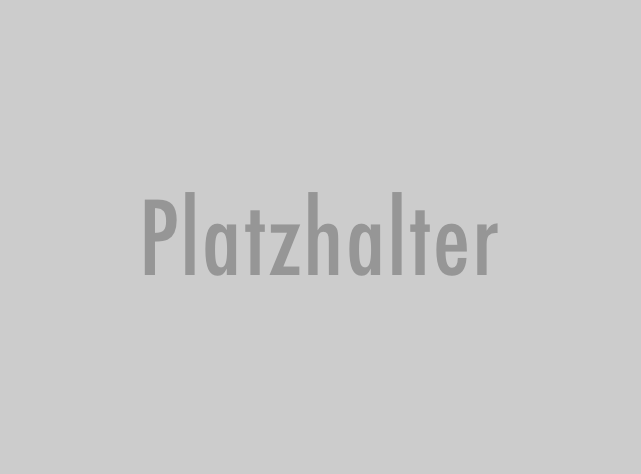 Einzelcoaching online 45 Minuten