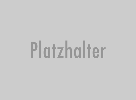 Einzelcoaching online 45 Minuten